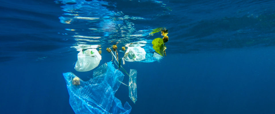 plastic bag, trash drowning in blue water